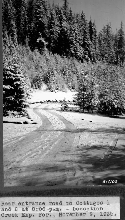 Rear entrance road to Cottages 1 and 2 at 8:00p.m. - Deception Creek Exp. For., November 9, 1935.