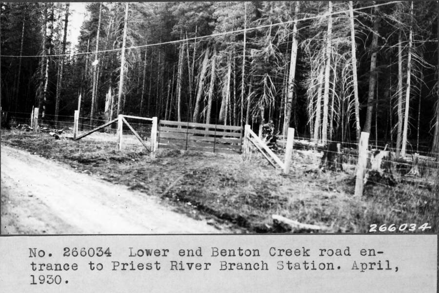 Lower end Benton Creek road entrance to Priest River Branch Station. April, 1930.