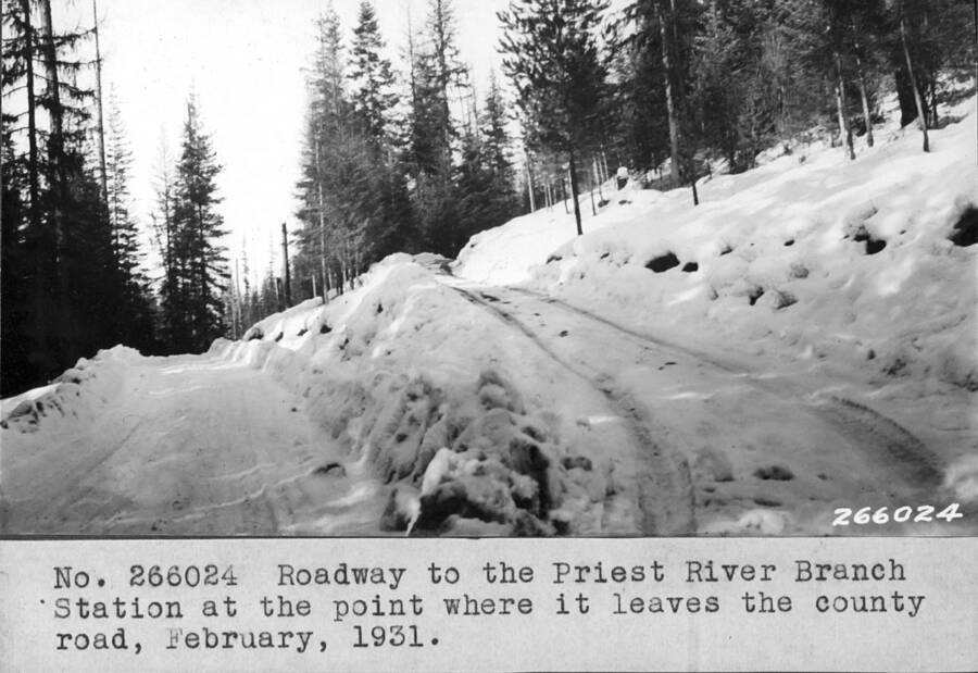 Roadway to the Priest River Branch Station at the point where it leaves the county road, February, 1931.