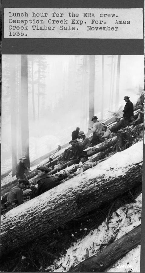 Lunch hour for the ERA crew. Deception Creek Exp. For. Ames Creek Timber Sale. November 1935.