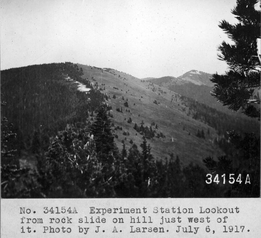 Experiment Station Lookout from rock slide on hill just west of it. Looking toward the lookout site on Experimental Point.