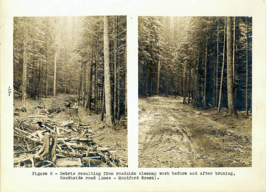 From the 1936 Annual Report, Fig. 8, captions reads: "Debris resulting from roadside cleanup work before and after burning, Southside road (Ames - Montford Creek)."