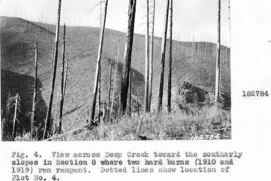 Caption reads: "View across Deep Creek toward the southerly slopes in Section 8."