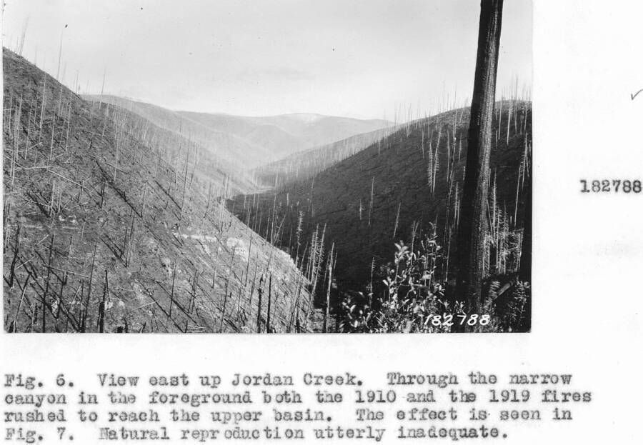 Caption reads: "View east up Jordan Creek, through the narrow canyon in foreground both the 1910 and the 1919 fires rushed to reach the upper basin."
