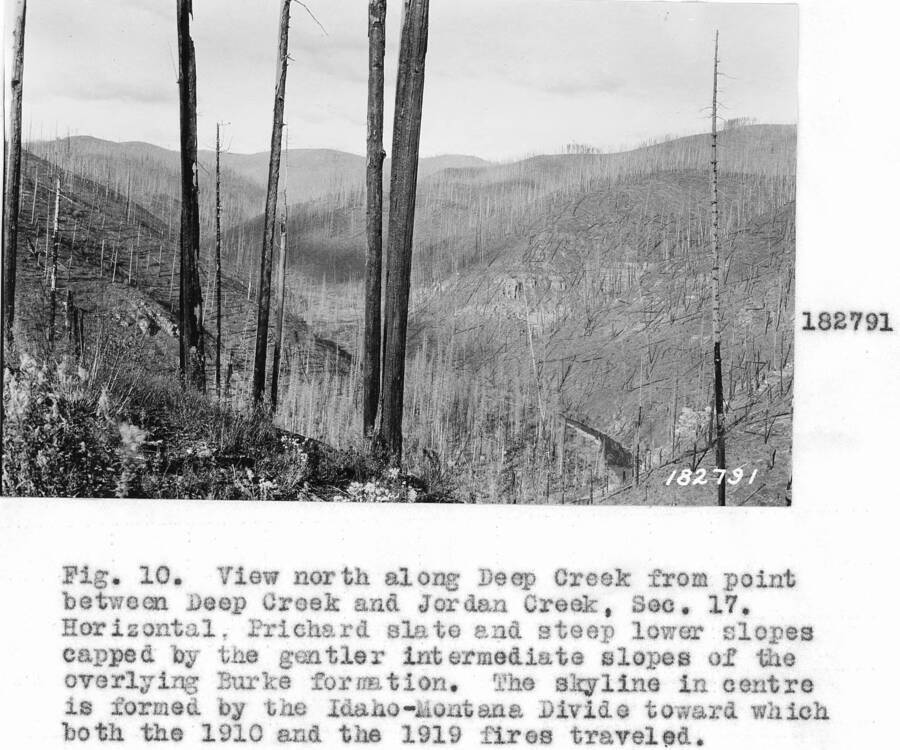 Caption reads: "Fig.10. View north along Deep Creek from point between Deep Creek and Jordan Creek, Sec. 17."