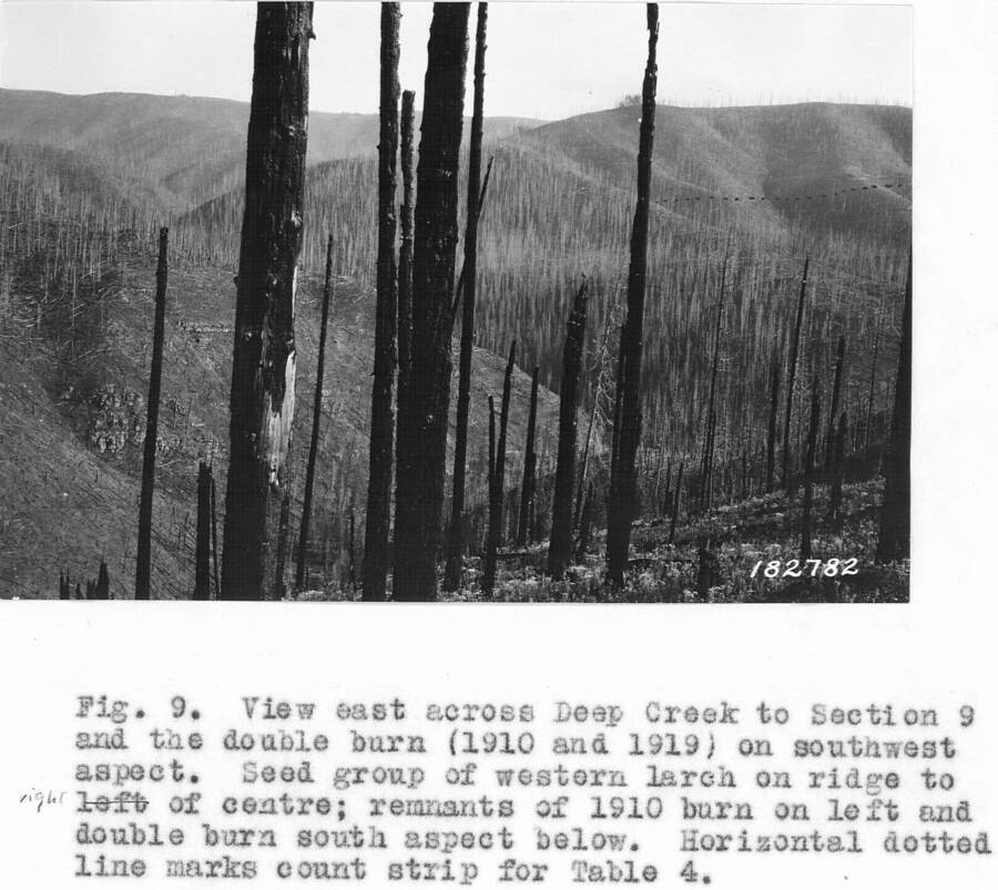 Caption reads: "View east across Deep Creek to Section 9 and the double burn (1910 and 1919) on southeast aspect."