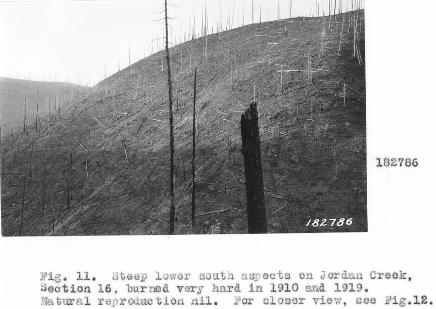 Caption reads: "Fig. 11. Steep lower south aspect on Jordan Creek, Section 16, burned bery hard in 1910 and 1919. Natural reproduction nil."