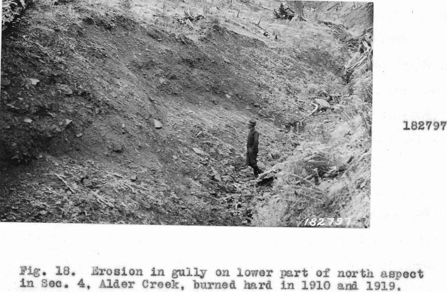 Caption reads: "Fig. 18. Erosion in gully on lower part of north aspect in Sec. 4, Alder Creek, burned hard in 1910 and 1919."