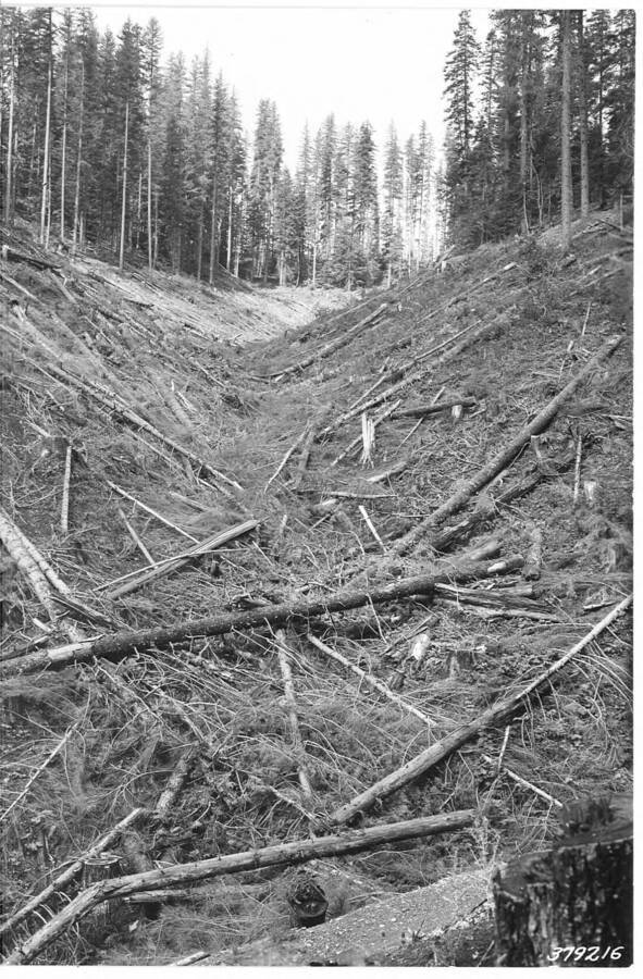 Repeat of photograph 379197, upper end of the gulch, soon after harvest.