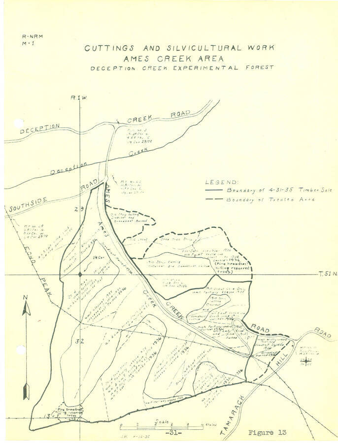 From the 1936 Annual Report, Fig. 13, silvicultural work in Ames Creek area.