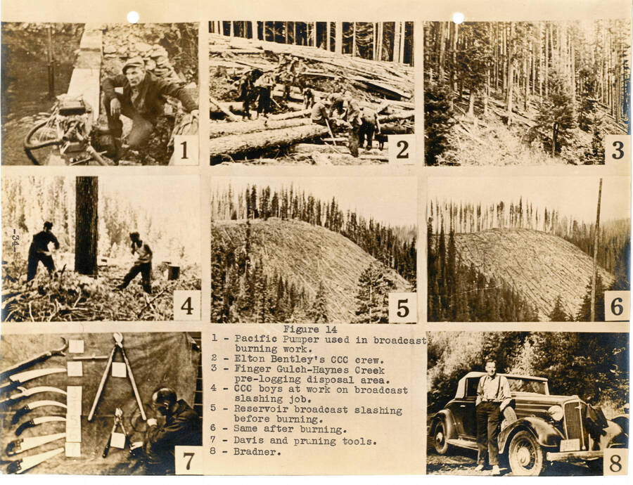 Photo page from the 1936 Annual Report, Fig. 14.  Views of a Pacific pumper, CCC crew, Finger Gulch, slashing, Ken Davis w/pruning tools, and Melvin Bradner, Station Director.