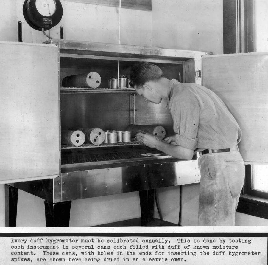 Every duff hygrometer must be calibrated annually. This is done by testing each instrument in several cans each filled with duff of known moisture content. These cans, with holes in the ends for inserting the duff hygrometer spikes, are shown here being dried in an electric oven. G. Lloyd Hayes pictured; the oven is still in use.