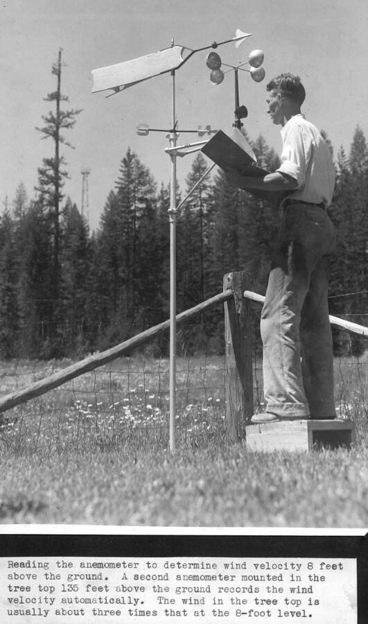 G. Lloyd Hayes reading the anemometer to determine wind velocity 8 feet above the ground. A second anemometer mounted in the tree top 135 feet above the ground records the wind velocity automatically. The wind in the tree top is usually about three times that at the 8-foot level.