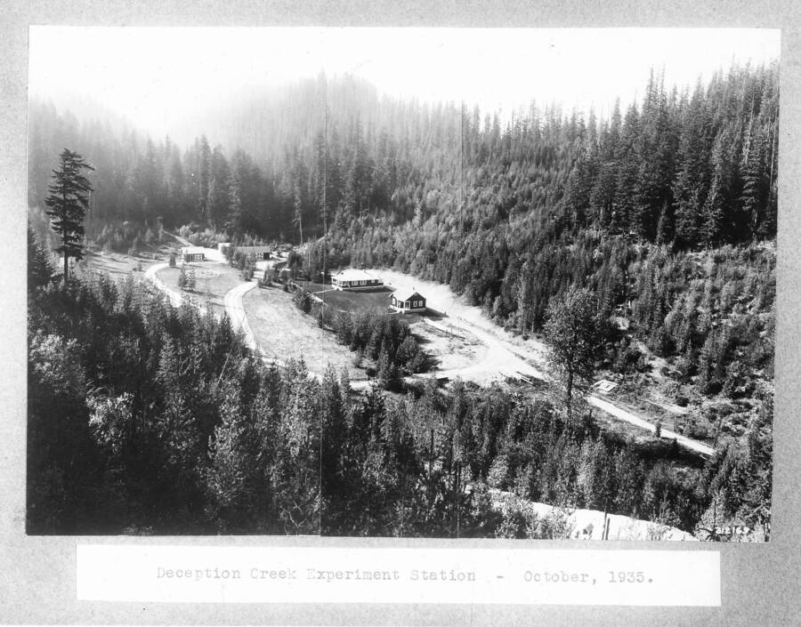 Same as HeadquartersPan1.  Panoramic photos of headquarters site, composite of three photos in HeadquartersPan1; looking westerly, found in Wellner files, Moscow Forest Sciences Laboratory.