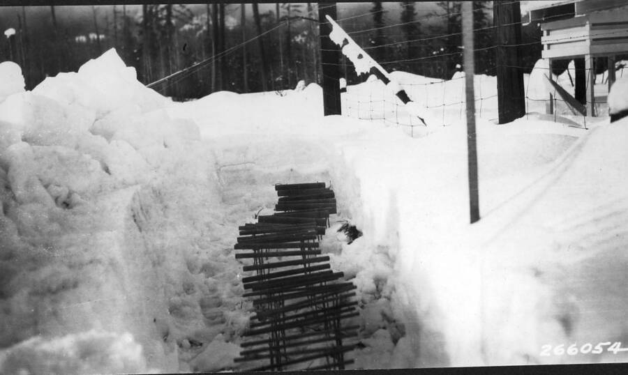 Dec. 1931 series wood cylinders just after appearing above snow 3/29/32. Showing much less damage to these cylinders and supports from snow burden due to midwinter breaking of snow layer, at Clear Cut site.