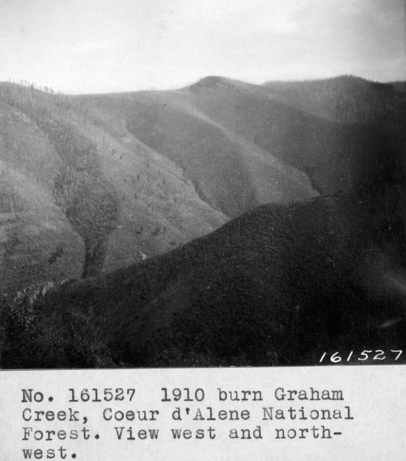 1910 burn Graham Creek, Coeur d'Alene NF. View west and northwest