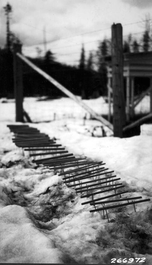 New 1931 series wood cylinders as placed 1/6/32 at Clear Cut station before covering with snow. Priest River.