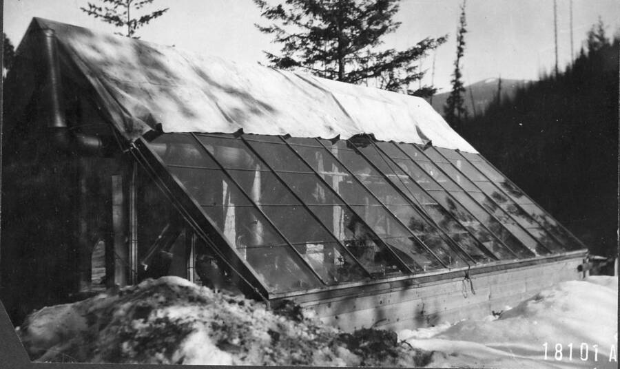 Greenhouse heated with wood stove. Covered with canvas on north side to prevent radiation. Priest River Experimental Station. January 1912.