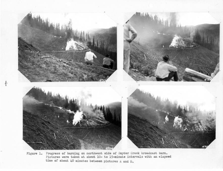 Page 4, Figure 1 from the 1952 Annual Report, Caption reads: "Progress of burning on northwest side of Snyder Creek broasdcast burn. Pictures taken at about 10- to 15-minute intervals with an elapsed time of about 40 minutes between pictures A and D."