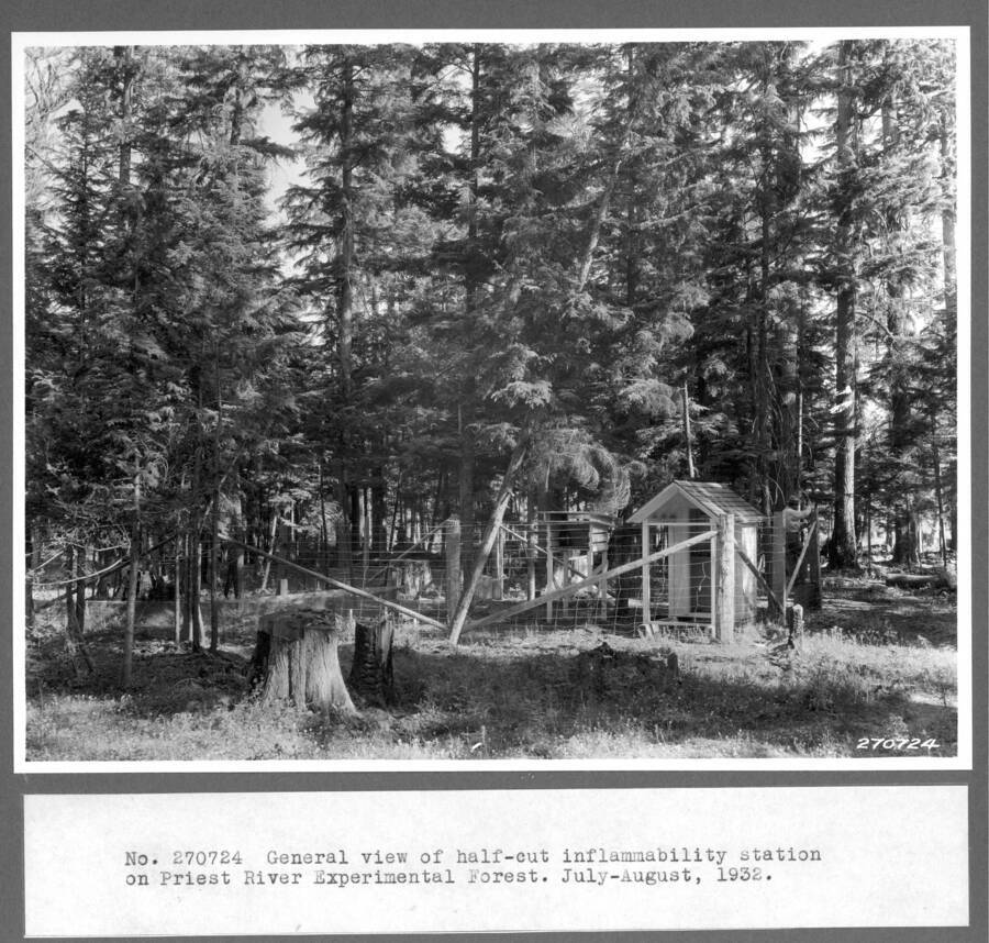 General view of half-cut inflammability station on Priest River Experimental Forest. July-august 1932.