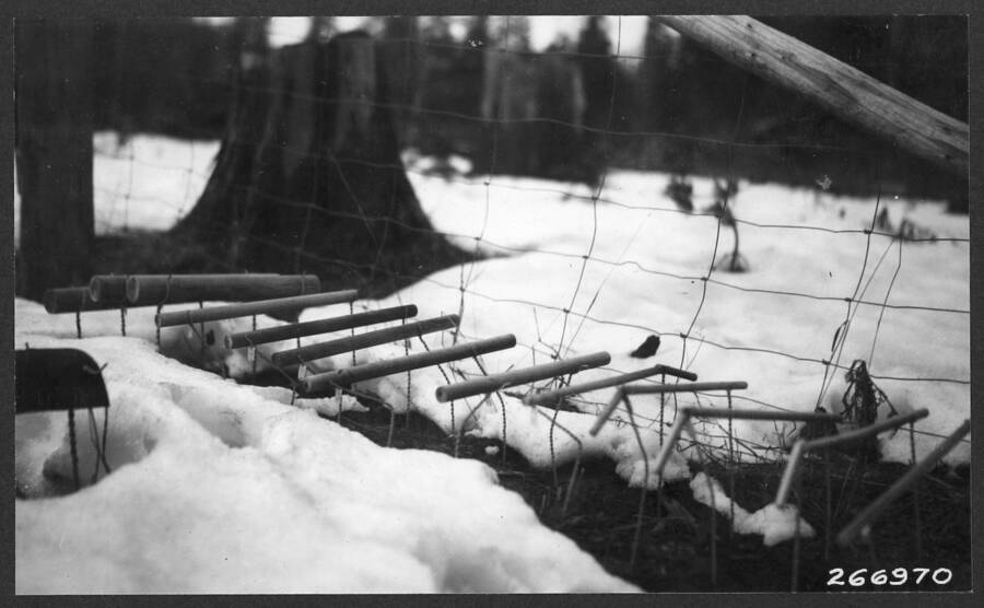 Snow damage to 1030 series wood cylinders. Showing broken cylinders and buckled brackets as snow was leaving in spring. P. R. 3/29/32.