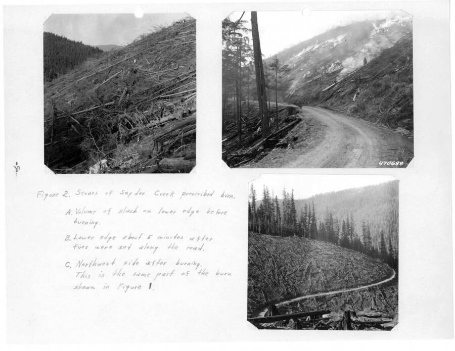 Figure 2, caption reads: "Series of Snyder Creek prescribed burn. A. Volume of slash on lower edge before burning. B. Lower edge about 5 minutes after fires were set along the road. C. Northwest side after burning. This is the same part of the burn shown in Fingure 1."