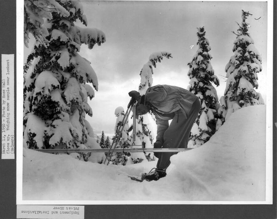 March 12, 1950 - Photo by Ross Hall. Close up. Helmers is pictured here weighing snow sample near lookout.