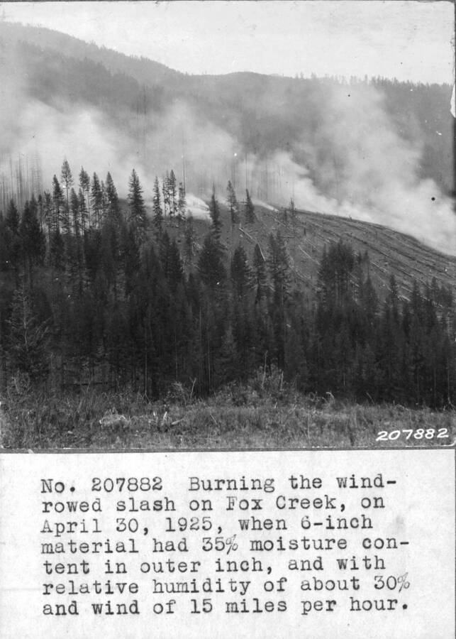 Burning the wind-rowed slash on Fox Creek, on April 30, 1925, when 6-inch material had 35% moisture content in outer inch, and with relative humidity of about 30% and wind of 15 miles per hour.
