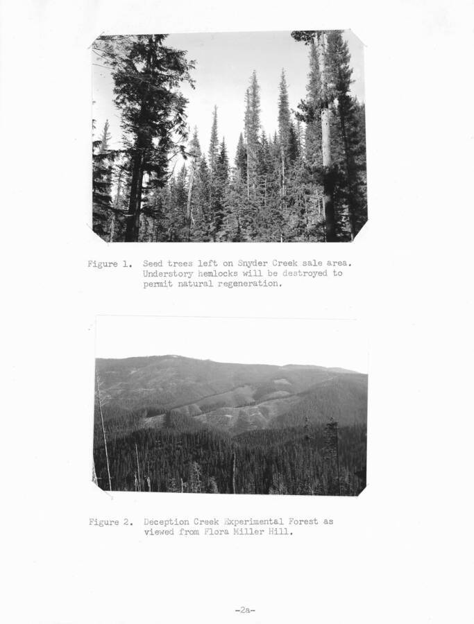 Figure 1, caption reads: "Seed trees left on Snyder Creek sale area. Understory hemlocks will be destroyed to permit natural regeneration." Figure 2 caption reads: "Deception Creek Experimental Forest as seen from Flora Miller Hill."