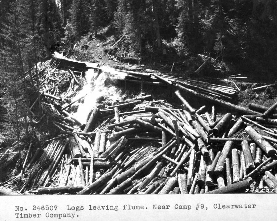 Logs leaving flume. Near Camp #9, Clearwater Timber Company.