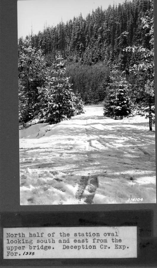North half of station oval looking south and east from the upper bridge. Deception Creek Experimental Forest. 1935.