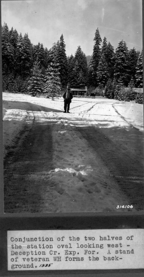Conjunction of the halves of the station oval looking west - Deception Creek Experimental Forest. A stand of veteran WH forms the background. 1935.