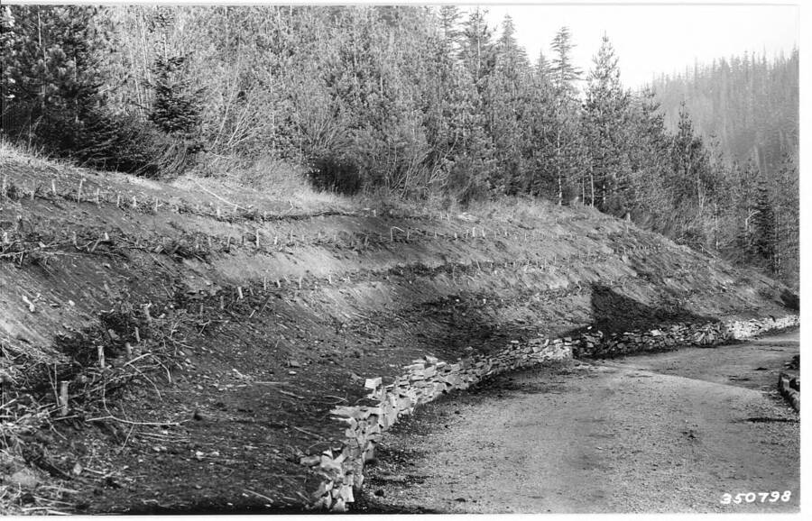 This sequence illustrates the development of vegetation on the slope over a period of ten years.