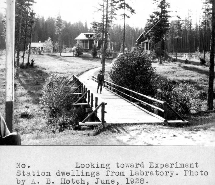 Filed in Priest Creek Experimental Forest Photo box #4: "Looking toward Experiment Station dwellings from Laboratory. Photo by A.B. Hatch, June 1928."