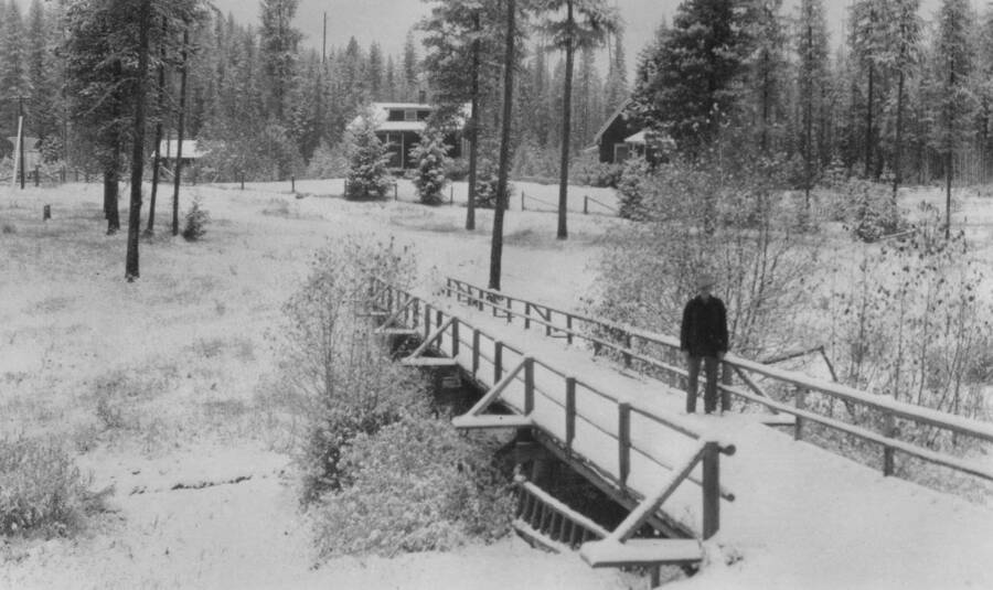 Winter scene of footbridge from Office/lab to cottages.