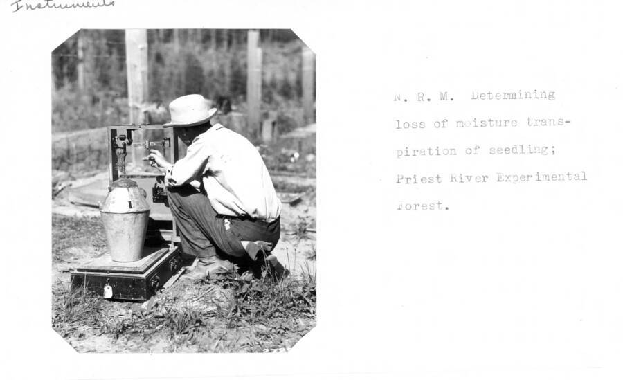 N.R.M. [Northern Rocky Mountain] Determing loss of moisture transpiration of seedling; Priest River Experimental Forest.