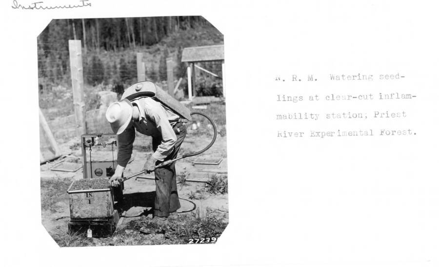 N.R.M. Watering seedlings at clear-cut inflammability station; Priest River Experimental Forest.
