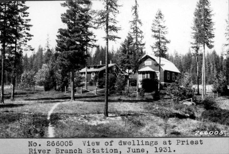 View of dwellings at Priest River Branch Station, June, 1931.