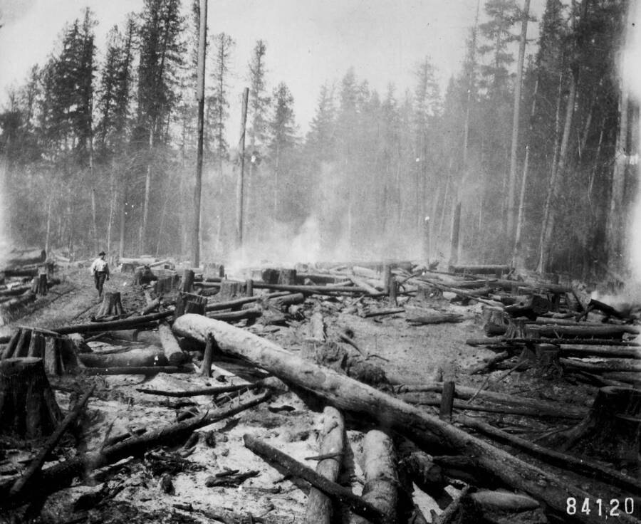 Sale Jurgen Brothers, February 19, 1910. Brush disposal by burning, showing large amount of waste after cutting 50,000 feet per acre. Kaniksu National Forest. April 21, 1911. Location not clear in photo record; Jurgens flat area is the site of the Arboretum and CCC camp.