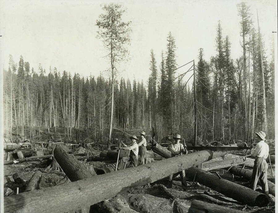 As described in Wellner's history: "Clearing away debris on Jurgens Flat for experimental plots, 1912."