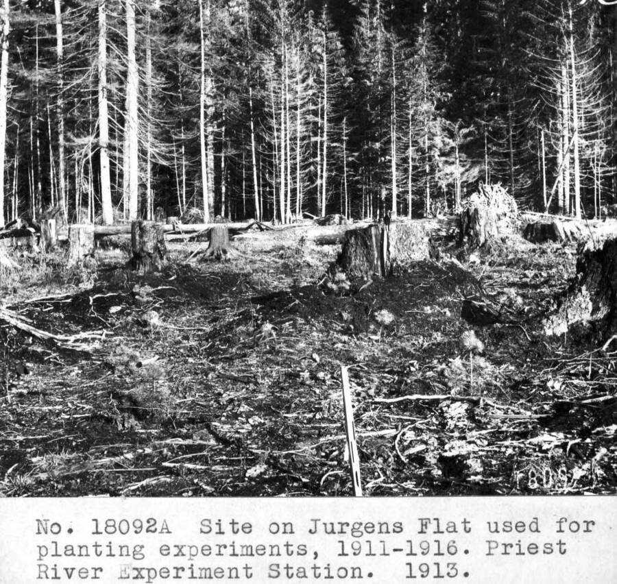 Site on Jurgens Flat used for planting experiments, 1911-1916. Priest River Experiment Station. 1913.