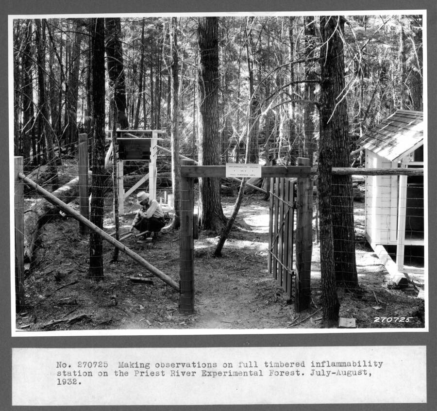 General view of full timbered inflammability station on Priest River Experimental Forest. July-August 1932.
