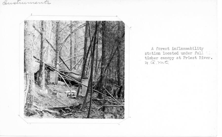 A forest inflammability station located under full timber canopy at Priest River