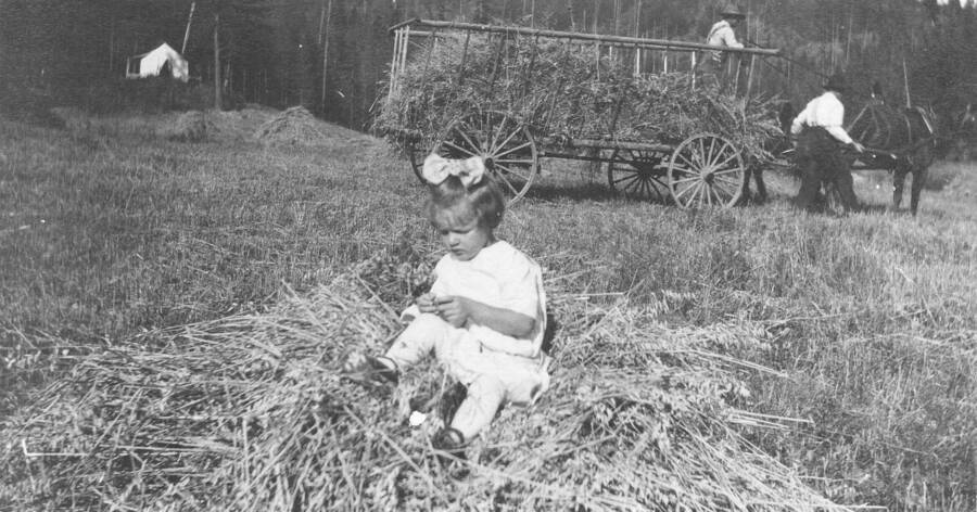 Photo of Margaret in the Benton Meadow hayfield.