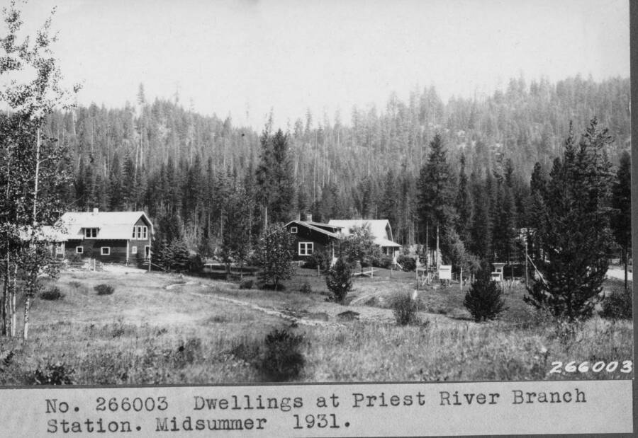 Dwellings at Priest River Branch Station. Midsummer 1931.