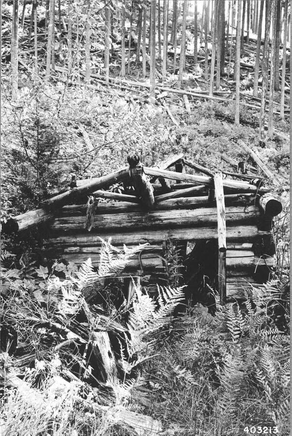 From the series of photos of the Montford homestead at the mouth of Haynes Creek within Deception Creek Experimental Forest; second cabin