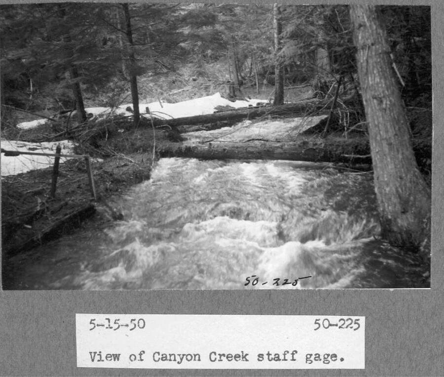 View of Canyon Creek staff gage.