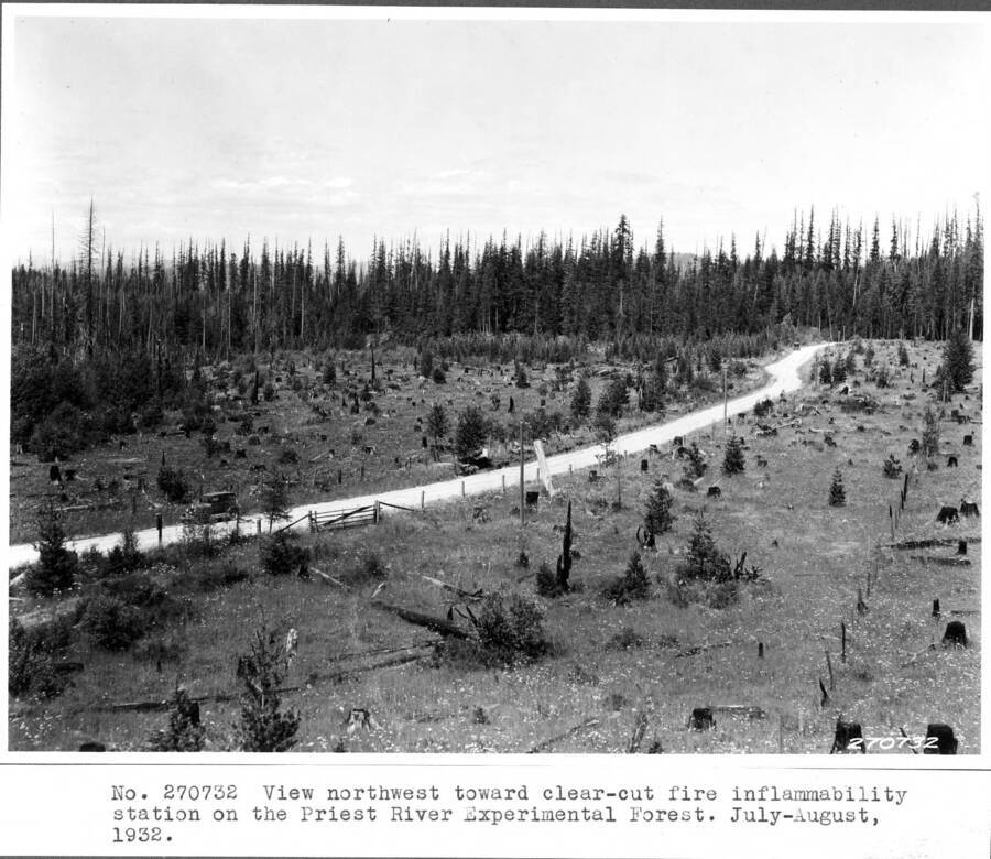 View northwest toward clear-cut inflammability station of the Priest River Experimental Forest, July-August 1932. Far left side of road  was to become the site of the CCC camp.