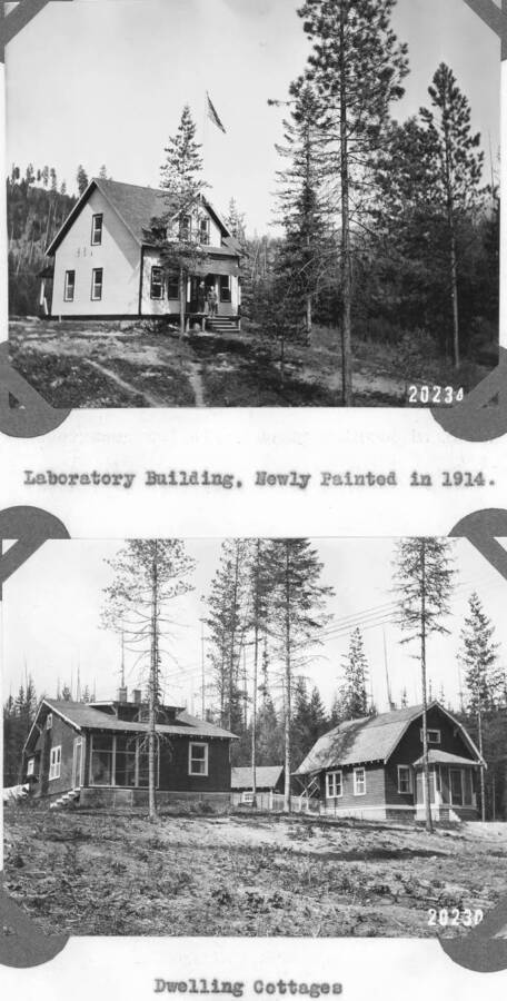 20234A: "Laboratory Building, Newly Painted in 1914." 20230A: "Dwelling Cottages." Otherwise known as Cottages 1 and 2.