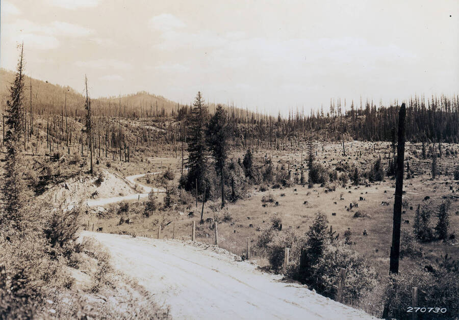 Photo used in a masters thesis project by Craig M. Smith, 1981, titled "US Forest Service Exotic Tree Plantations in northern Idaho and western Montana". View is south from the county road, vicinity Fox Knoll, to Fox Creek and what would become the Weidman Arboretum. Filed in Priest Creek Experimental Forest Photo box #4.
